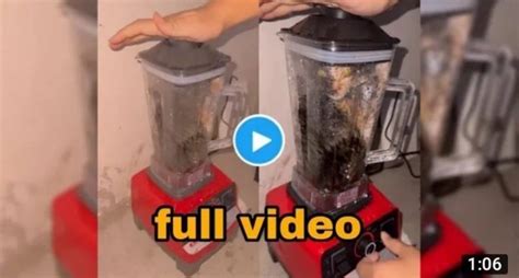 cat blender footage|The Controversial Video: The Shocking Truth Behind。